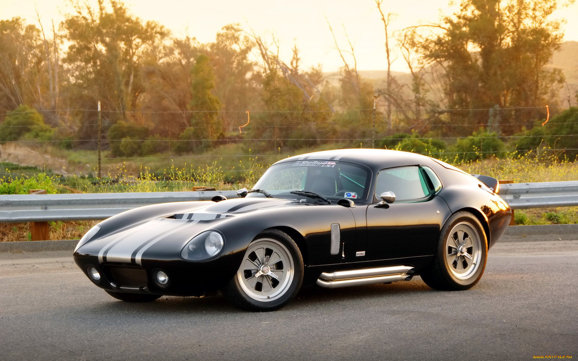 shelby cobra daytona coupe